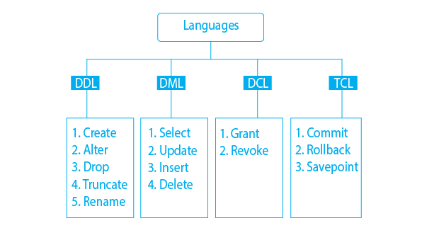 dbms theory assignment questions