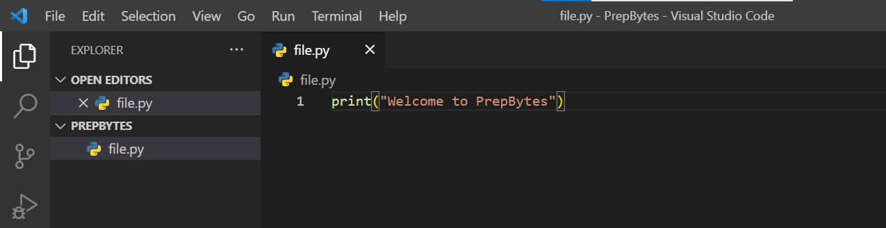 How To Run Python Program?