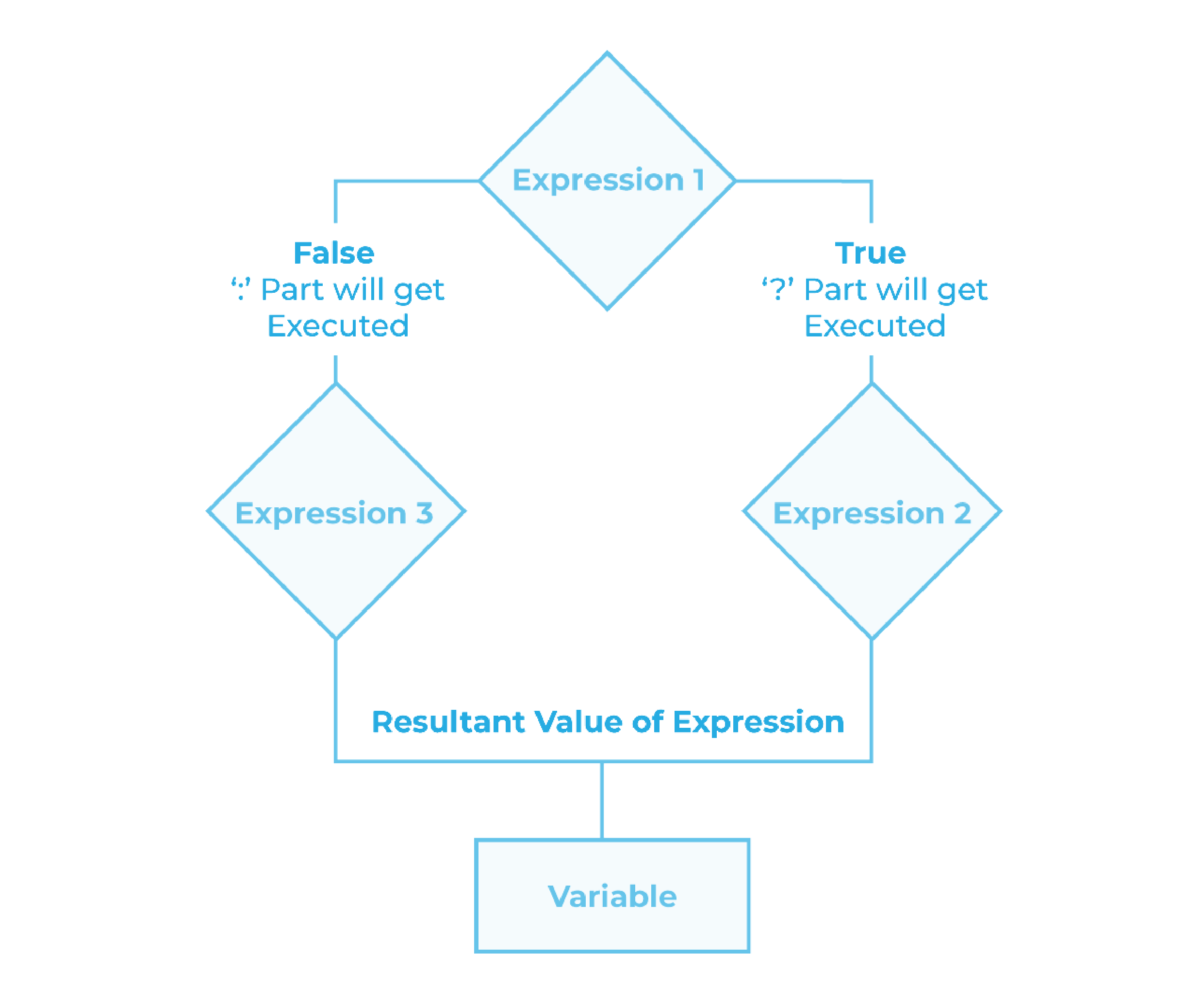 conditional assignment operator c