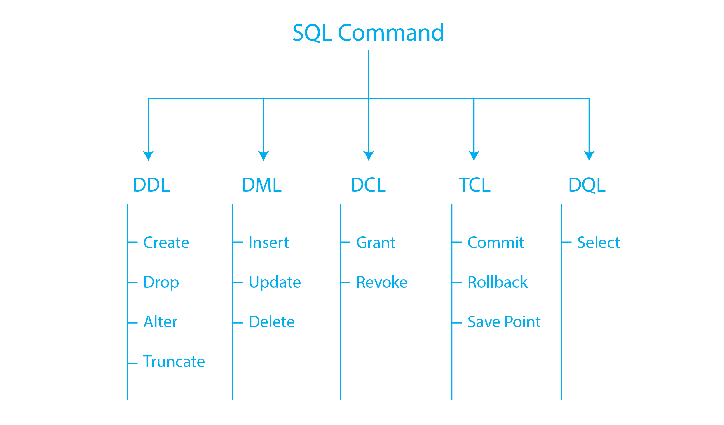 What are SQL commands